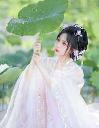 一朵芙蕖，开过尚盈盈