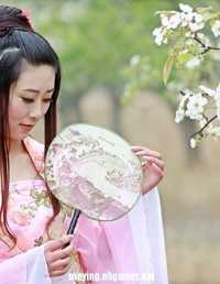 梨花春雨